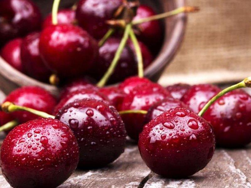 Вишня купить саженцы из питомника в Новоуральске
