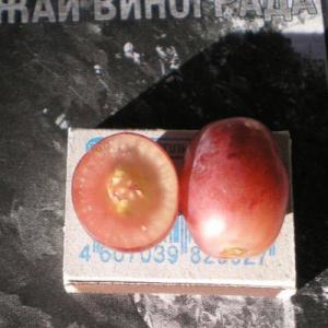 Виноград "МАРСЕЛО"